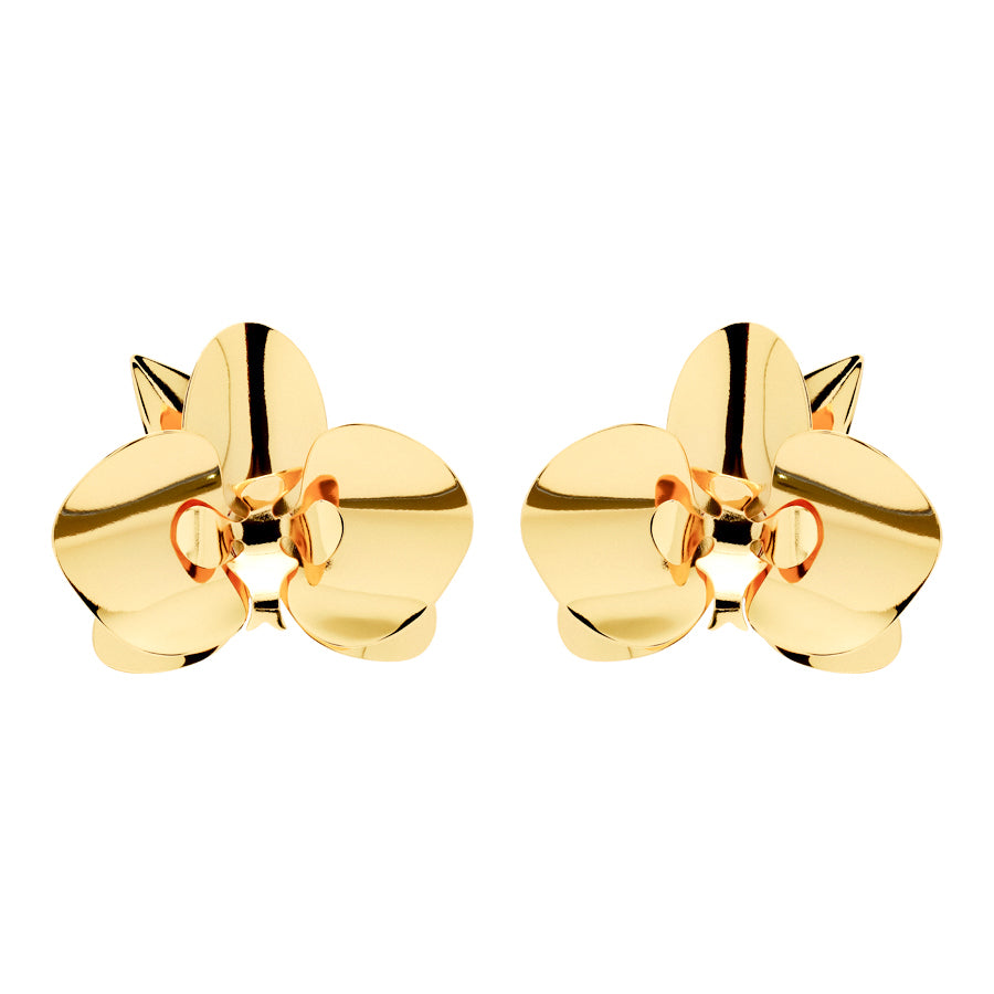 Evolua Earring - Large